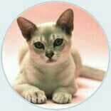 Ligia Garcia Cirlinas