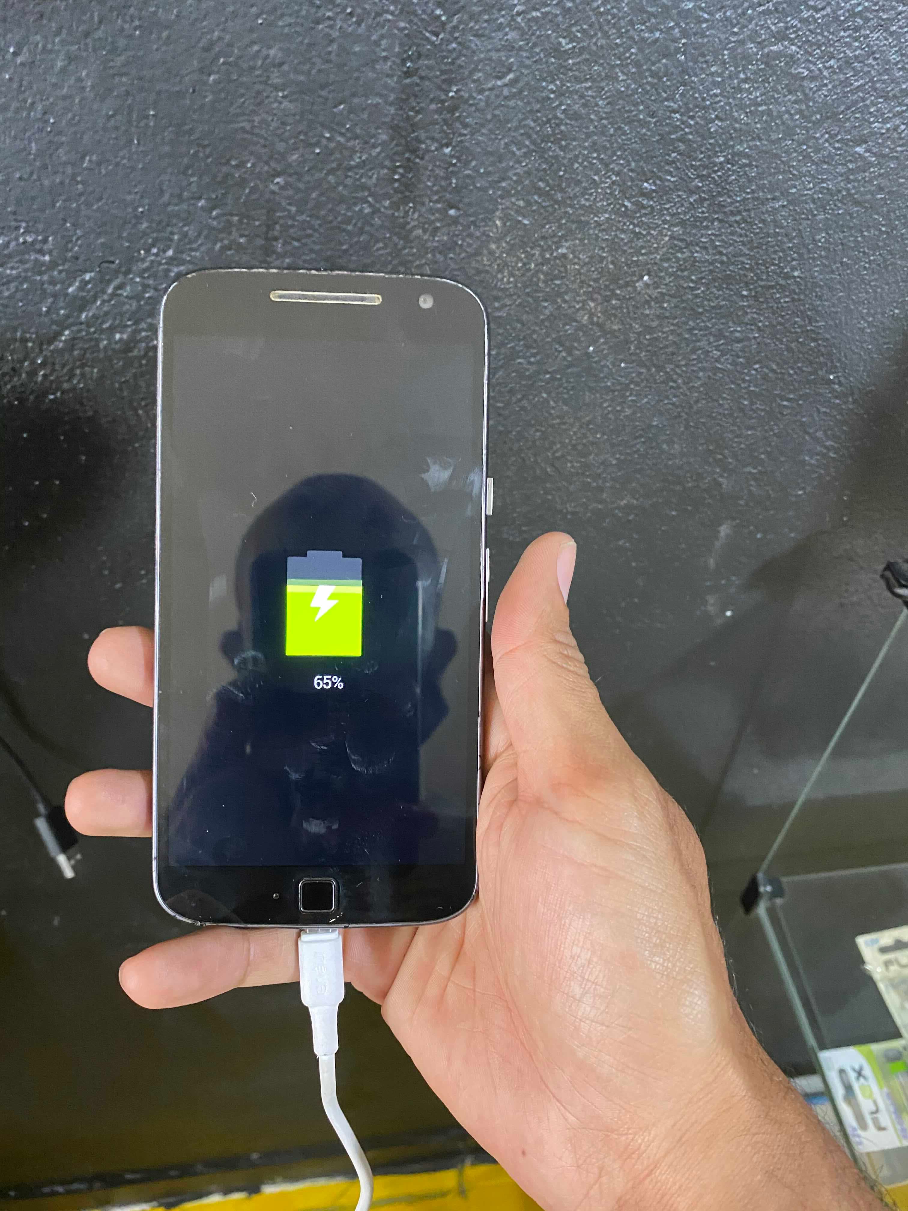 Bruno Roque Rodrigues