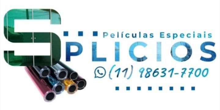 Paulo Cesar Carnicini Filho