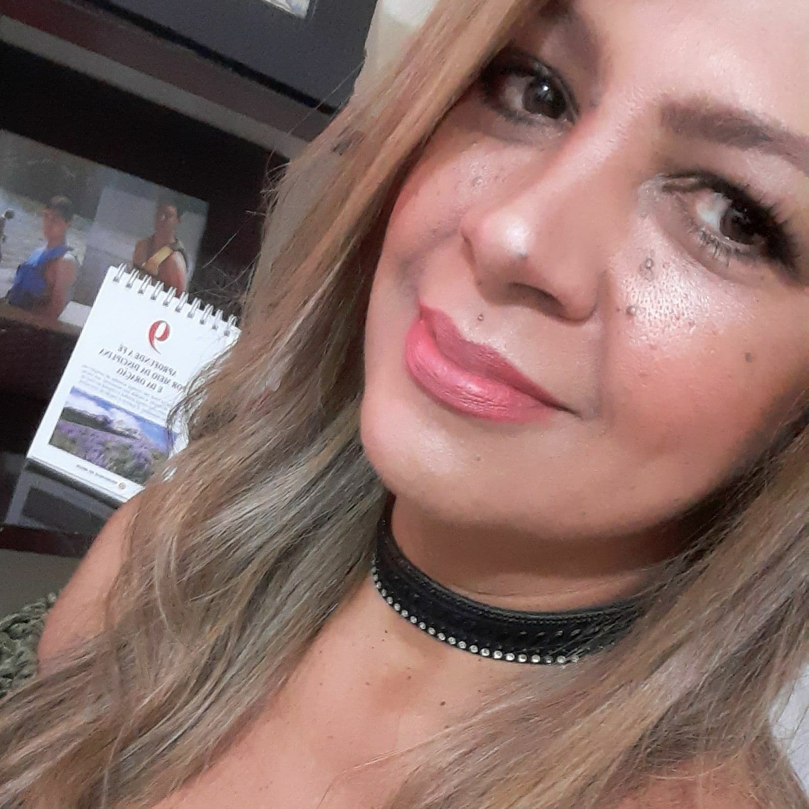 Rejane Maria Ferreira Da Silva Sanches