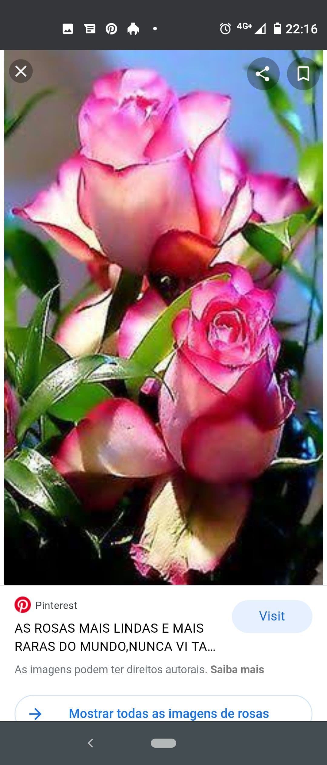 Denise Aparecida De Souza Leal