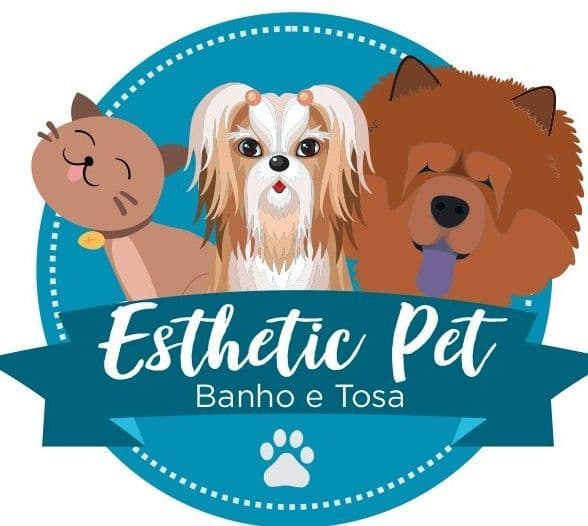 Elaine Guimarães Teixeira