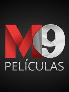 Marcelo Lazzeri da Silva