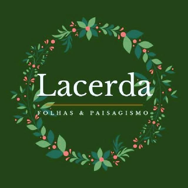 Pablo Lacerda Araújo