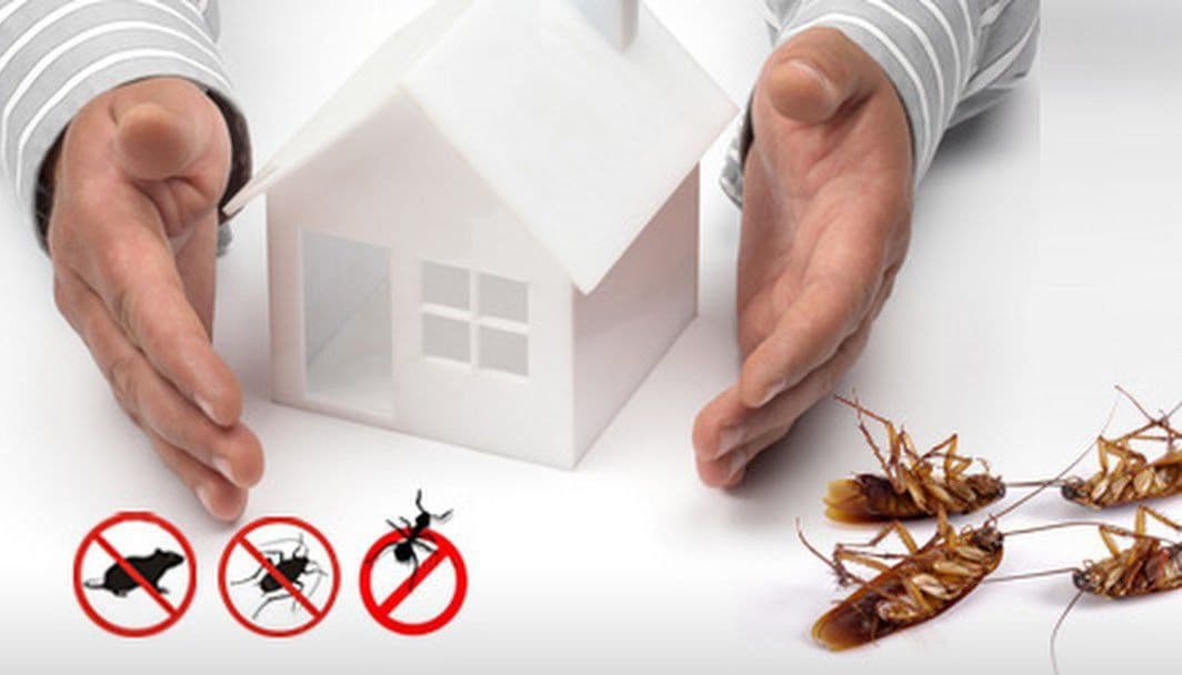 Carlos Alexandre de Paiva