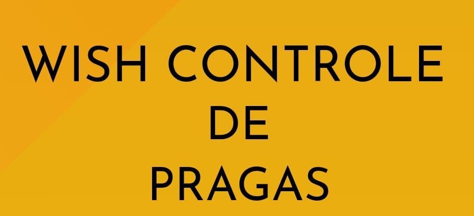 Elidiane Maria Da Silva