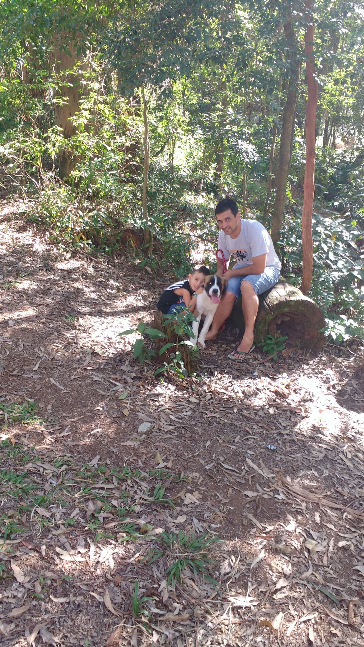 Ricardo Siqueira Pereira