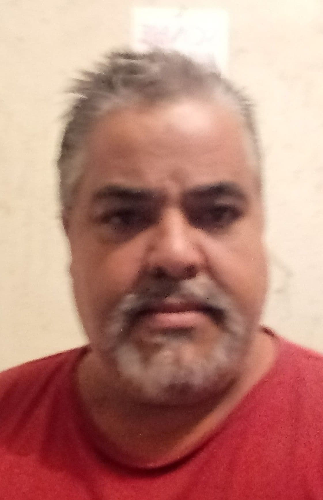 David Alfredo Gomes da Silva