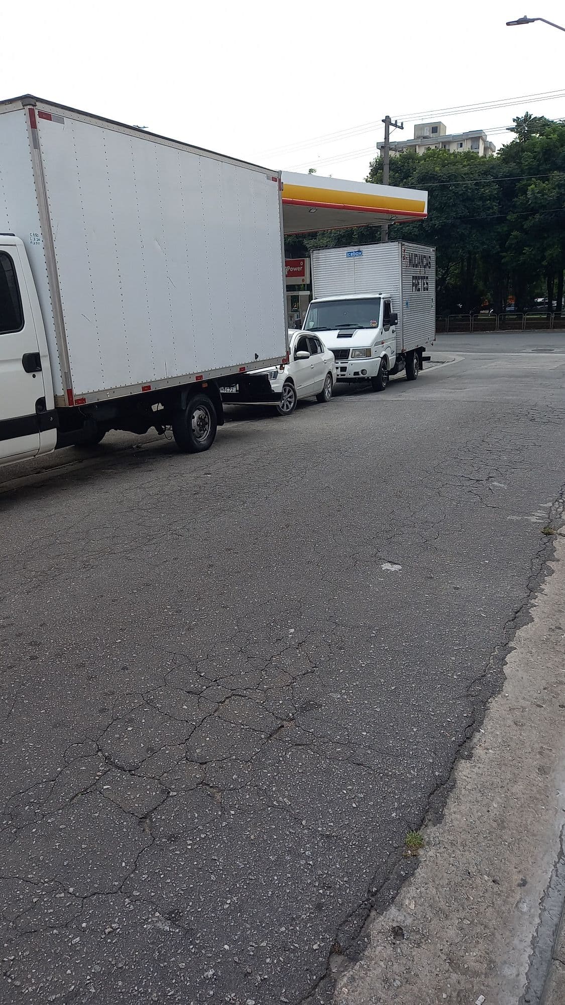 Marco Antonio Coelho Amaral