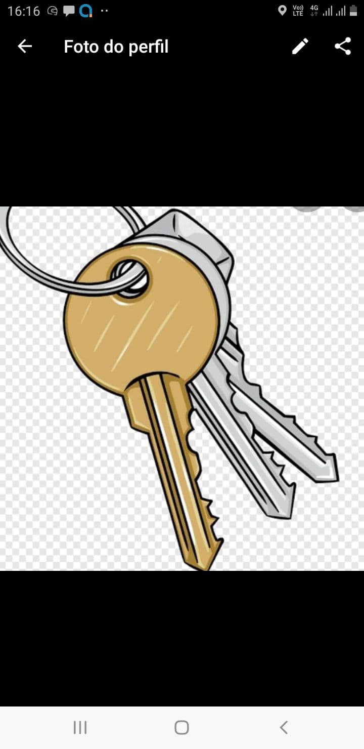 Luis Alberto Pereira dos Santos