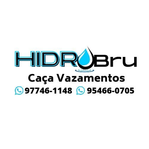 Bruno Domingos Vieira Santos