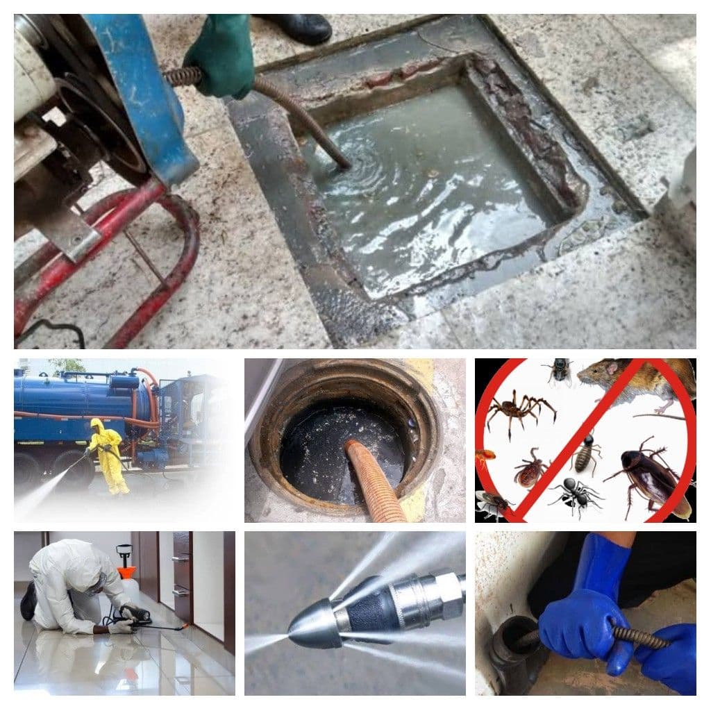 José Valentim Valmir Pereira