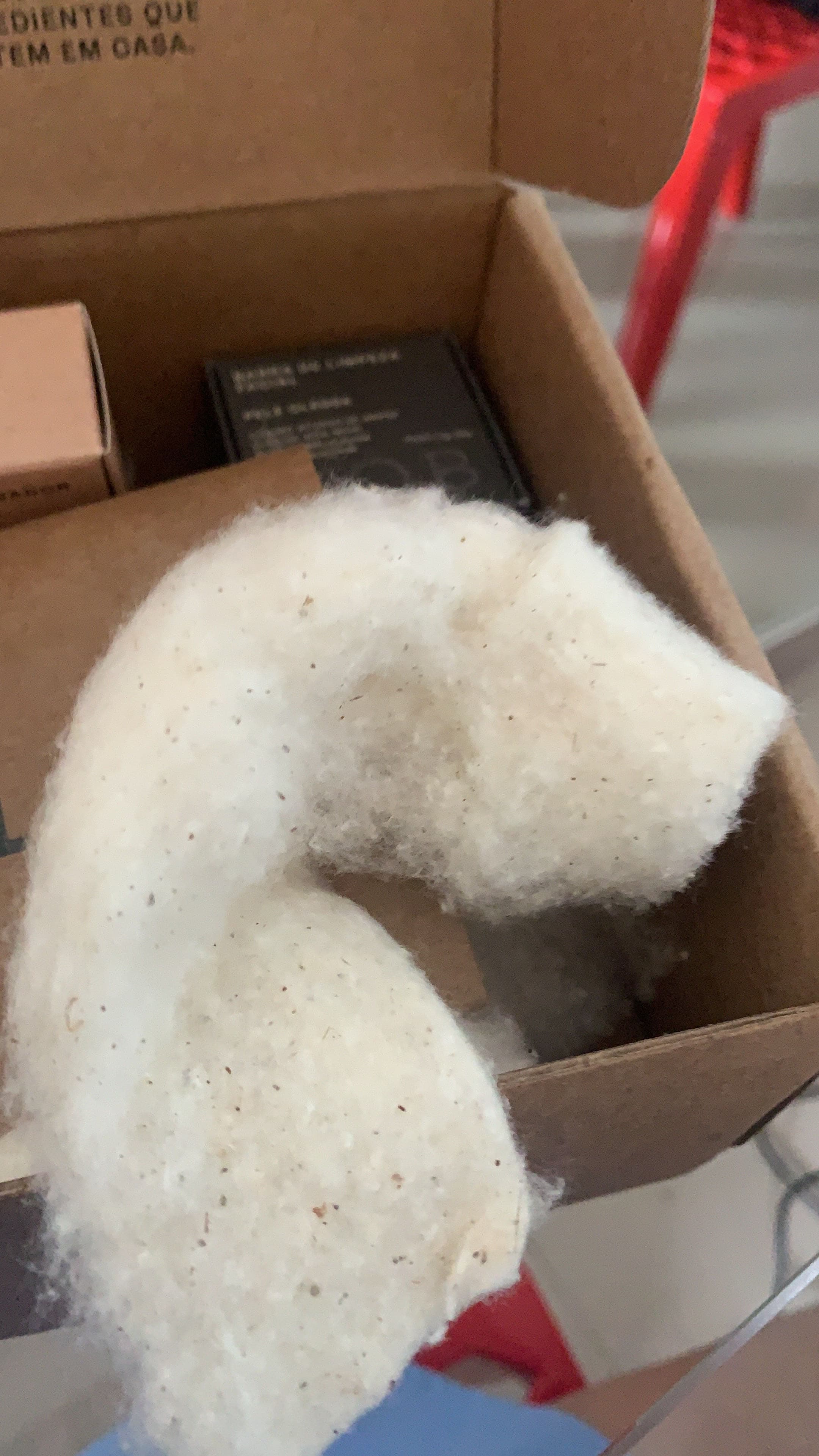 Descomplica Assessoria Virtual